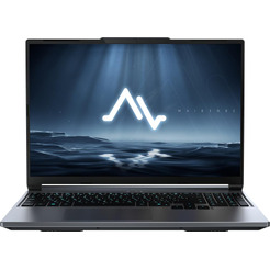 Ноутбук Maibenben X16C X16C-i544560G44LG4E10