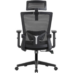 Кресло компьютерное EVOLUTION ErgoLine 1