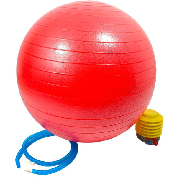 Фитбол с насосом AMETIST 55 см