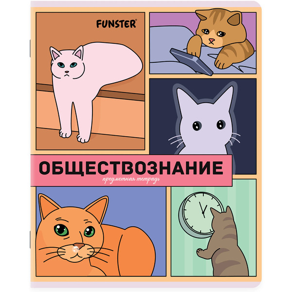 Тетради предметные Funster Мемные коты 405604 (12 шт)