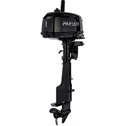 Мотор лодочный Parsun T 5 BMS