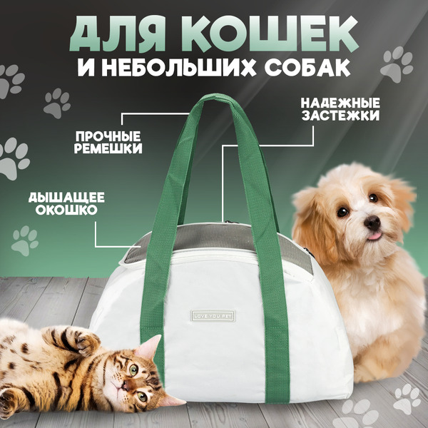 Переноска для животных Solmax&Zoo SM98365 (зеленый)