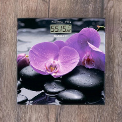 Напольные весы Scarlett SC-BS33E067