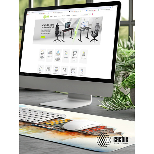 Коврик для мыши Cactus Amsterdam CS-MP-PRO12XXL