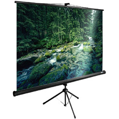 Экран CACTUS TriExpert CS-PSTE-220X165-BK