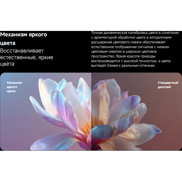 Телевизор Xiaomi TV X Mini LED 65 L65MC-SMRU (ELA6794RU)