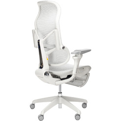 Кресло компьютерное EVOLUTION Zephyr Grey