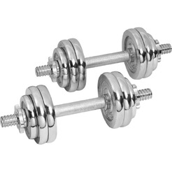 Набор гантелей Alpin DB-20