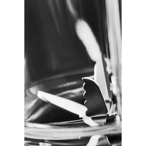 Блендер Moulinex LM439D10