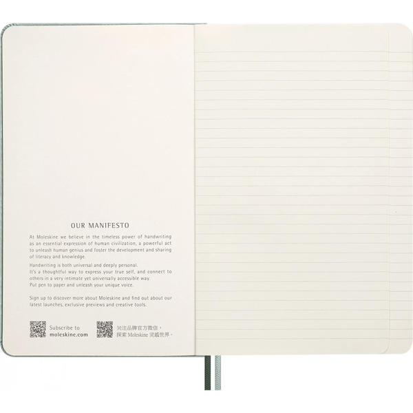 Блокнот Moleskine Limited Edition Year of the Snake LECNYSNKVEGMBOX