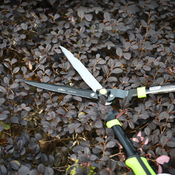 Ножницы садовые Deli EDL580421