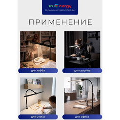 Светильник TRUENERGY TASK 29552