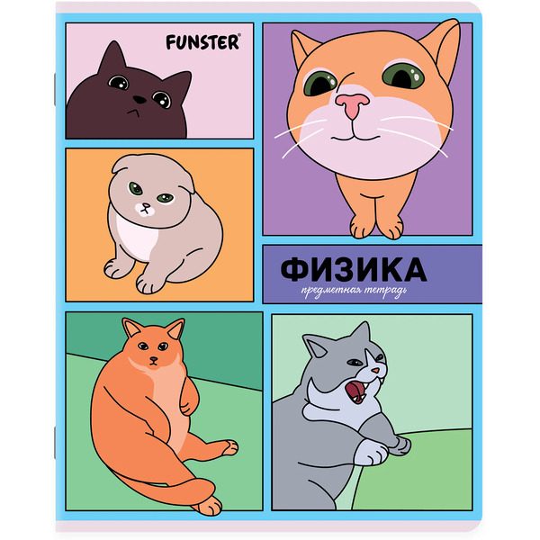 Тетради предметные Funster Мемные коты 405604 (12 шт)