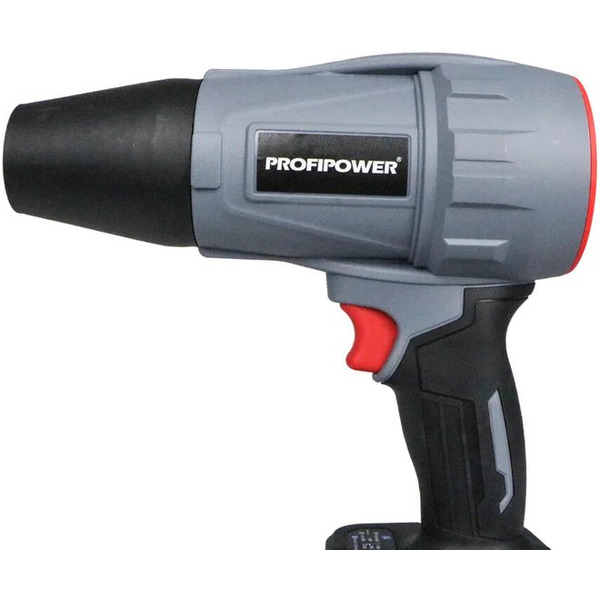 Набор инструментов Profipower ProfiSet-2D20 (воздуходувка, цепная пила)