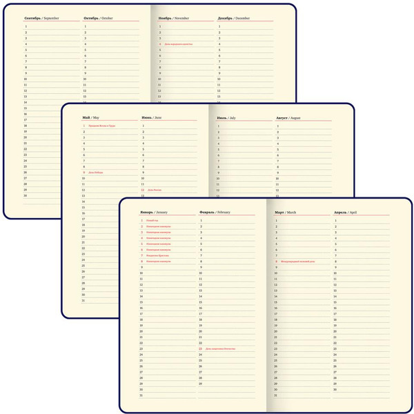 Ежедневник BRAUBERG 116234