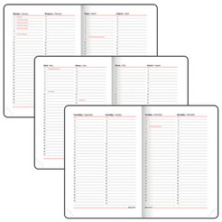 Ежедневник BRAUBERG недатированный Towny 114459 (белый)