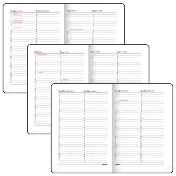 Ежедневник BRAUBERG недатированный Towny 114459 (белый)