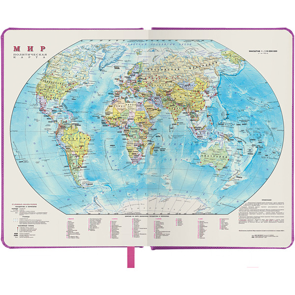 Ежедневник BRAUBERG недатированный Iguana 114456 (лиловый)