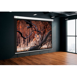 Проекционный экран CACTUS Motoscreen CS-PSM-104x186