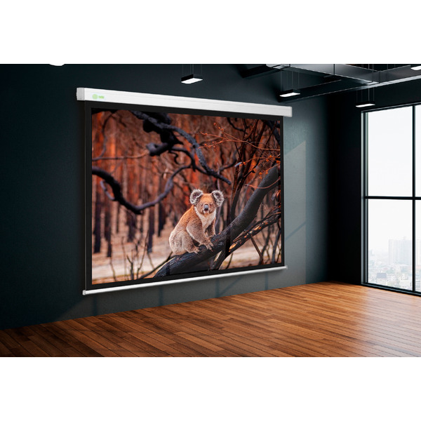 Проекционный экран CACTUS Motoscreen CS-PSM-104x186