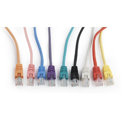 Кабель UTP Gembird PP12-2M/B