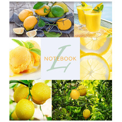 Тетрадь 48 л "Фруктовое мороженое", (Тетрапром) арт. ТО48К9527/Э/6