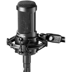 Микрофон Audio-Technica AT2035