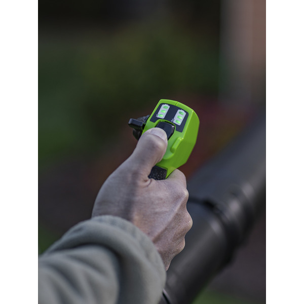 Воздуходувка Greenworks GD40BPG2 2408107 (без АКБ и ЗУ)