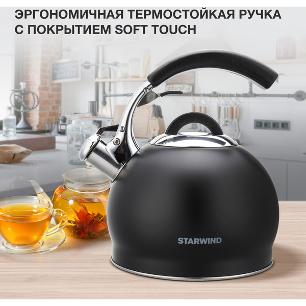 Чайник металлический Starwind SW-CH1510 (черный)