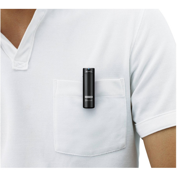 Микрофон-петля SONY ECM-AW4