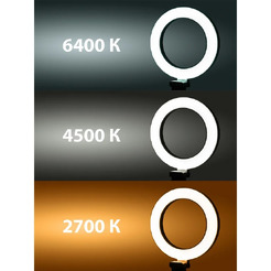 Лампа кольцевая TDM SQ0373-0301