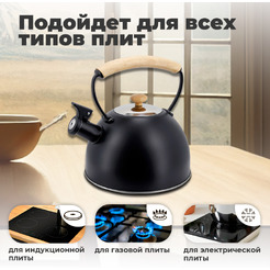 Чайник со свистком Pomidoro Napoli P-650206