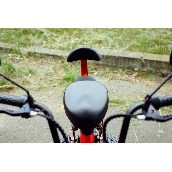 Электрический велосипед AVM DELTA PRO (Красный)