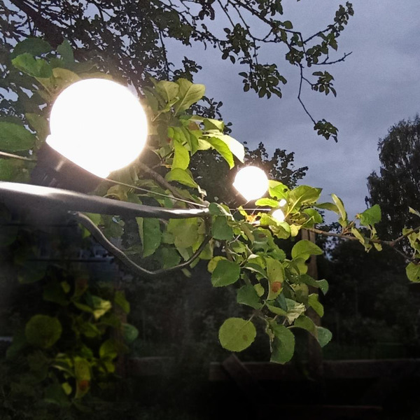 Гирлянда светодиодная Gauss Holiday Белт Лайт HL062