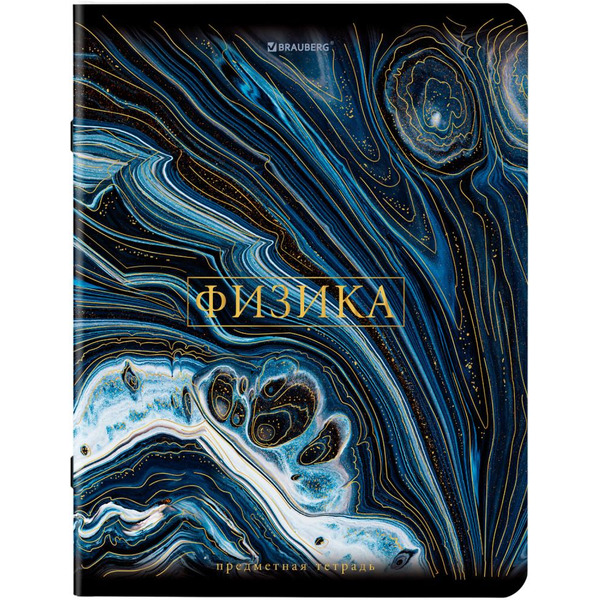 Тетради предметные BRAUBERG 404326 (КОМПЛЕКТ 12 ПРЕДМЕТОВ, 48л, SoftTouch, фольга)