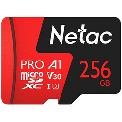 Карта памяти Netac P500 Extreme Pro 256GB NT02P500PRO-256G-S