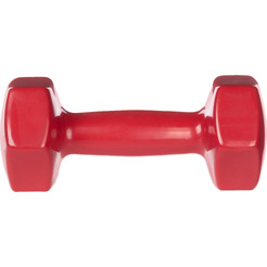 Гантель Sundays Fitness WD1455 (5кг, красный)