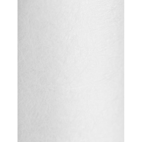 Картридж Гейзер PP10 10BB