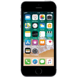 Смартфон APPLE iPhone SE 16GB Space Grey (A1723)