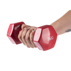 Гантель Sundays Fitness WD1455 (5кг, красный)