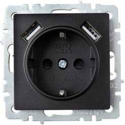 Розетка IEK Brite BR-R14-16-U21-D31-K02