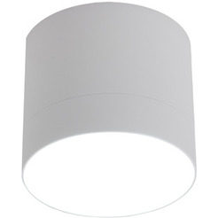 Точечный светильник TruEnergy 21025