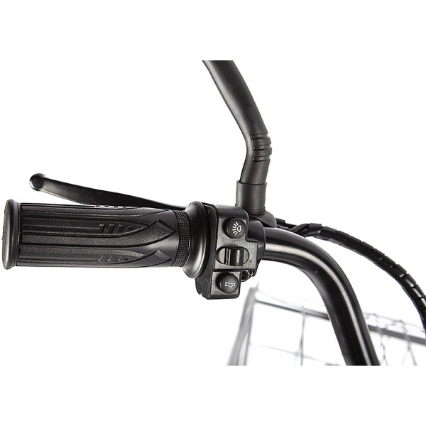 Велогибрид GREEN CITY E-Alfa New (темно-серый)