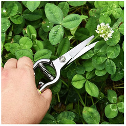 Ножницы садовые Deli EDL580421