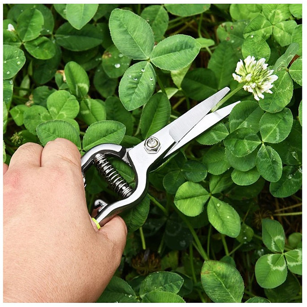 Ножницы садовые Deli EDL580421