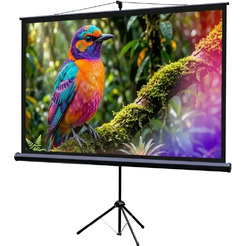 Проекционный экран Lumien Eco View 227x130 LEV-100115