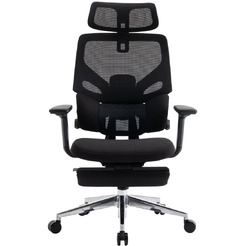 Кресло компьютерное EVOLUTION LumbarPro FR AL