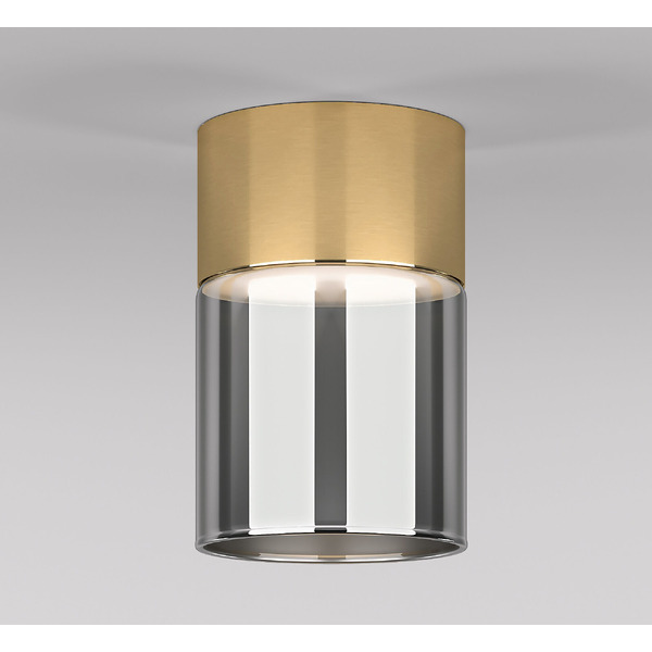 Точечный светильник Elektrostandard 10W 4000К 25047/LED (латунь/дымчатый)