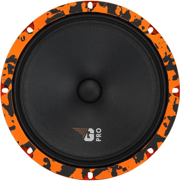 Автоакустика DL Audio Gryphon Pro 200