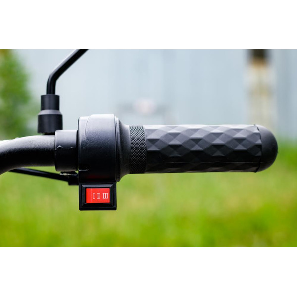 Электровелосипед AVM Delta Lite (черный)